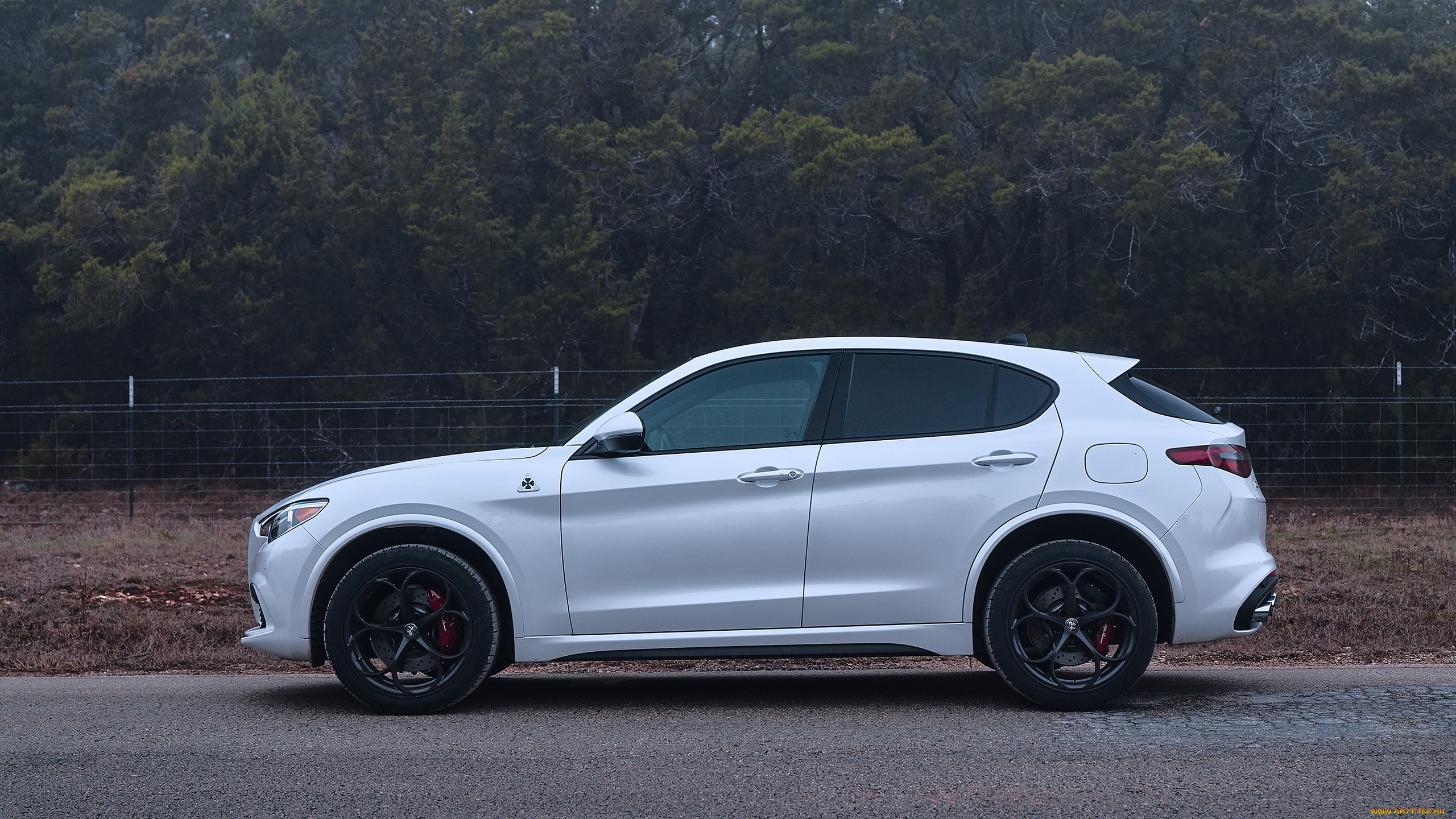 2018 alfa romeo stelvio quadrifoglio, , alfa romeo, alfa, romeo, stelvio, , white, car, , , quadrifoglio, , 2018